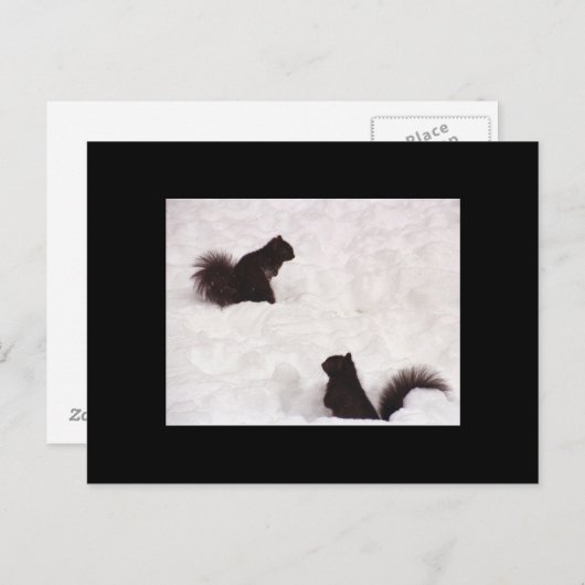 Écureuils dans la carte postale (Devant / Derrière)