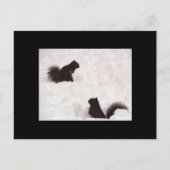 Écureuils dans la carte postale (Devant)