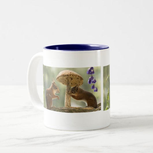 Écureuils dans la Mug des champignons (Devant gauche)