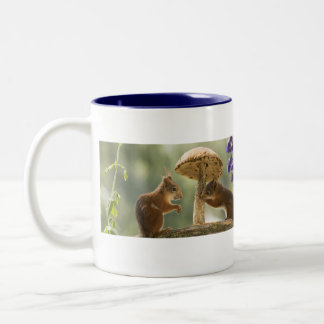 Écureuils dans la Mug des champignons