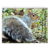 Écureuils de calendrier de Saltus Fidelis (Protection)