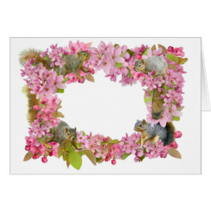 Écureuils en fleurs