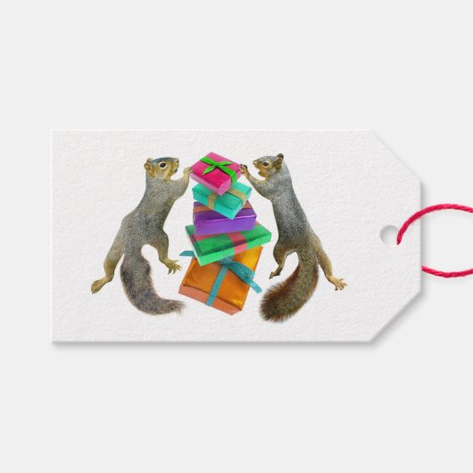 Écureuils présente des étiquettes cadeaux (Devant (Horizontal))