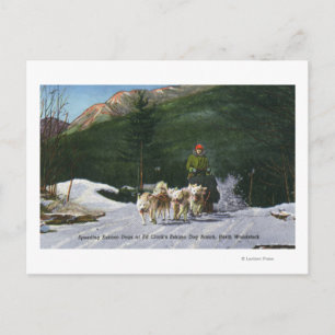 Ed Clark's Eskimo Dog Ranch, Dogsledding Briefkaart