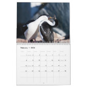 Ed en Torre Stocka... - Gepersonaliseerd Kalender (Feb 2026)