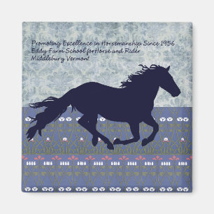 Eddy Boerderij School for Horse and Rider Magneet