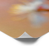 edele Japanse abrikozenbloemen Poster (Hoek)