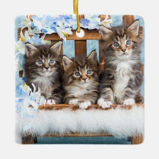 edele mooie kittens keramisch ornament (Voorkant)