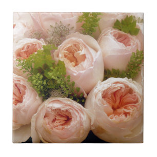 Edelroze rozen tegeltje