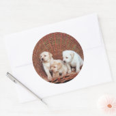 Edelwaardige Puppies Ronde Sticker (Envelop)