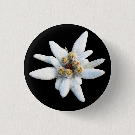 Edelweiss Alpine Flower Ronde Button 3,2 Cm (Voorkant)