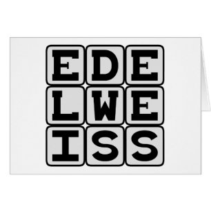 Edelweiss, Fleur blanche