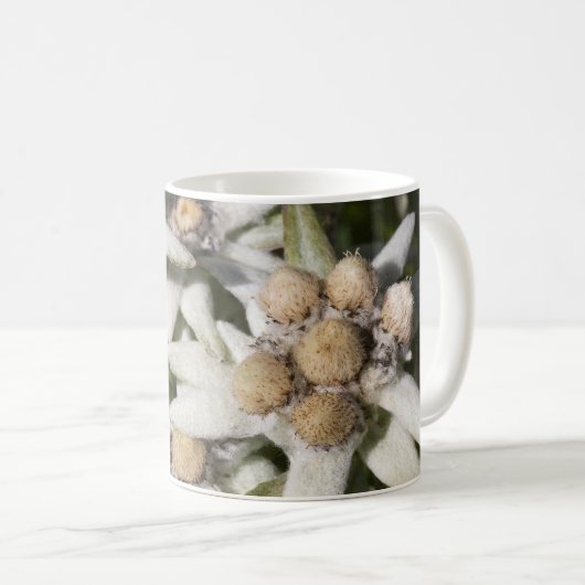 Edelweiss Flower Mug (Devant droit)