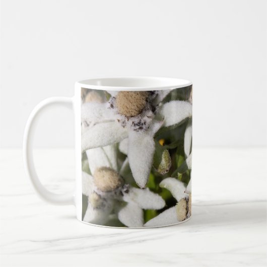 Edelweiss Flower Mug (Gauche)