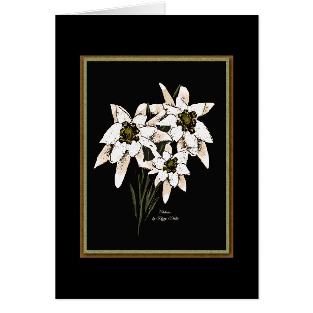 Edelweiss Flowers (Voorkant)