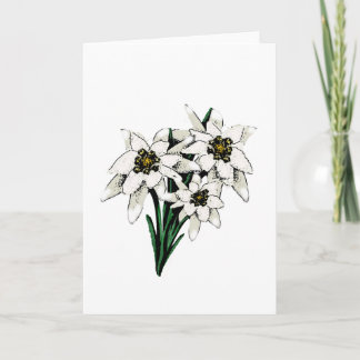 Edelweiss Flowers Kaart