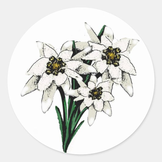 Edelweiss Flowers Ronde Sticker (Voorkant)