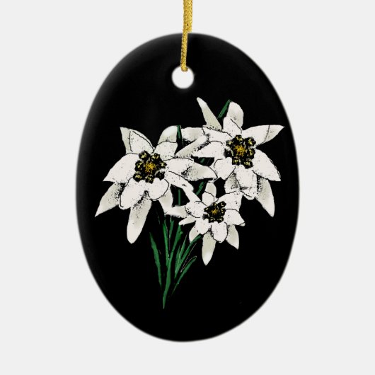 Edelweiss ornament (Voorkant)