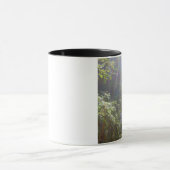 EDEN RAINBOWS MOK (Midden)