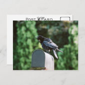Edgar Allan Crow, briefkaart (Voorkant / Achterkant)