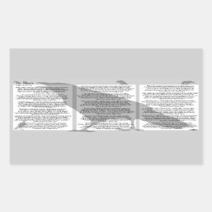 Edgar Allan Poe de Raven Rechthoekige Sticker