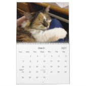 Edgar, Obi en Adara 2015 Cat Calendar Kalender (Mar 2027)