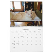 Edgar, Obi et calendrier 2015 de chat d'Adara (Feb 2027)