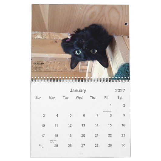 Edgar, Obi et calendrier 2015 de chat d'Adara (Jan 2027)