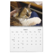 Edgar, Obi et calendrier 2015 de chat d'Adara (Mar 2026)