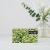 Edge Label - Sedum (Herfstvreugde) (Staand voorkant)