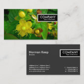 Edge Label - St Johns Wort (Voorkant / Achterkant)