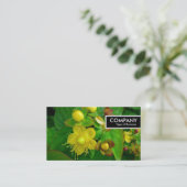 Edge Label - St Johns Wort (Staand voorkant)