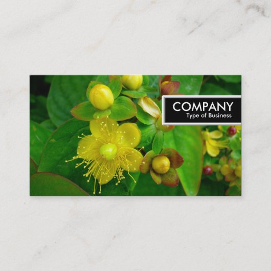 Edge Label - St Johns Wort (Voorkant)