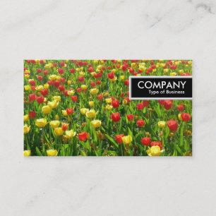 Edge-Label - Zee van Tulpen II Visitekaartje