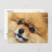 Edgrr #1 briefkaart (Voorkant / Achterkant)