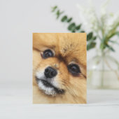 Edgrr #1 briefkaart (Staand voorkant)