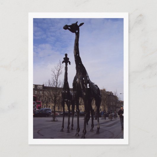 Edinburgh Giraffe Briefkaart (Voorkant)
