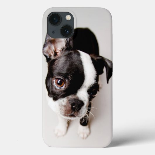 Edison Boston Terrier puppy. Case-Mate iPhone Case (Achterkant)