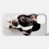 Edison Boston Terrier puppy. Case-Mate iPhone Case (Achterkant (horizontaal))