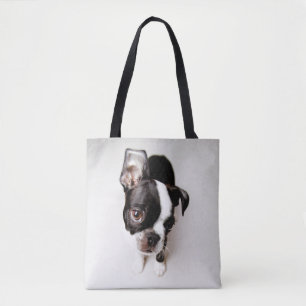 Edison Boston Terrier puppy. Draagtas