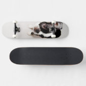 Edison Boston Terrier puppy. Skateboard (Horizontaal)