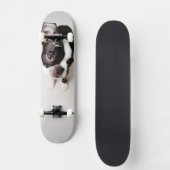 Edison Boston Terrier puppy. Skateboard (Voorkant)