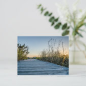 Edisto Beach, South Carolina Briefkaart (Staand voorkant)