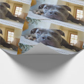 Editable Brown Pitbull Dog Cadeaupapier (Hoek)