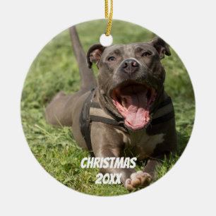 Editable Brown Pitbull in Grass Keramisch Ornament