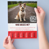 Editable Found Dog Poster With QR Code & Tear‑Off  Flyer (Hand)