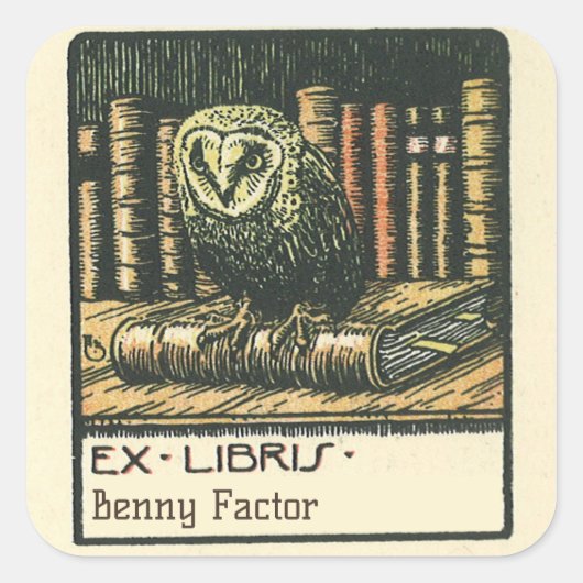 Editable  Owl and Books Bookplate Vierkante Sticker (Voorkant)