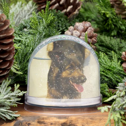 Editable Pet Photo Name and Dates (Hiver)