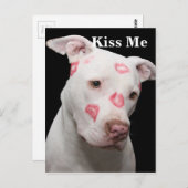 Editable Pitbull Lover Briefkaart (Voorkant / Achterkant)