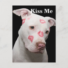 Editable Pitbull Lover Briefkaart